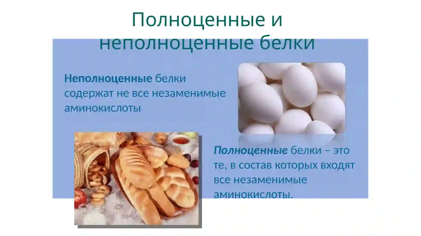 Роль белков, жиров и углеводов в организме человека 4