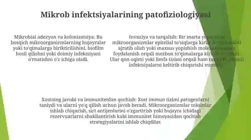 Yurak Qon Sistemasiga Mikroorganizimlarni Tasiri 4