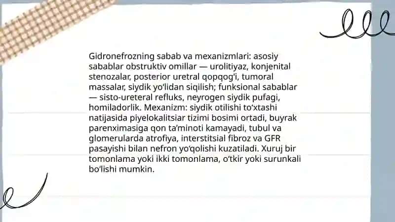 Gidronefroz 4