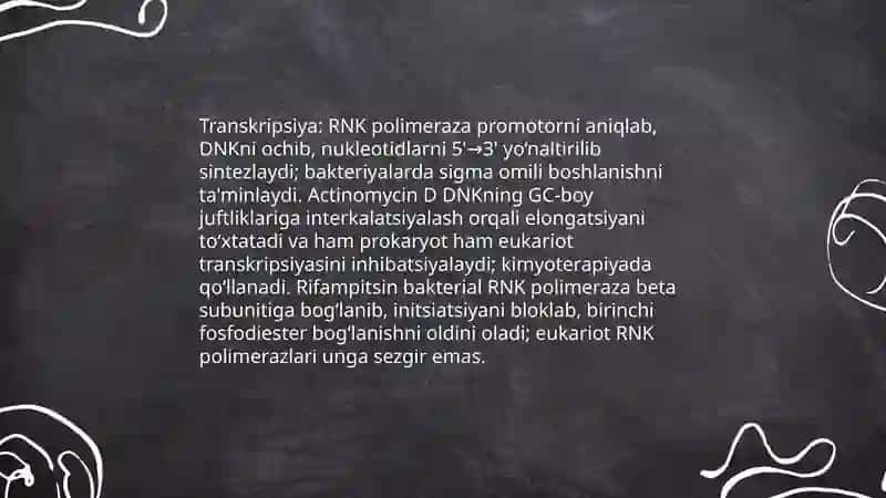 Nuklein kislotalar, oqsil sintezining stimulyator va ingibitorlari 4