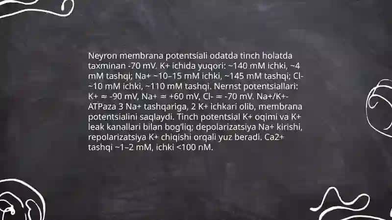 Neyronlar fiziologiyasi va Sinapslar fiziologiyasi 4