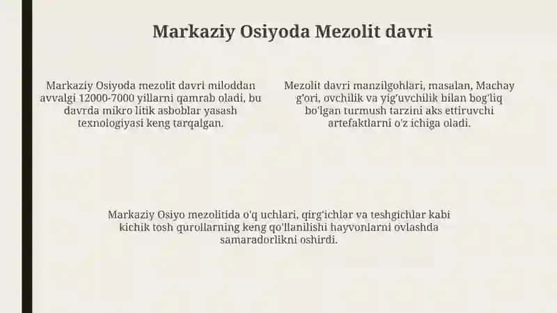 OrtaOsiyodagi so'nggi mezolit - o'rtato'sh davri manzilgohlarini o'rganish 4