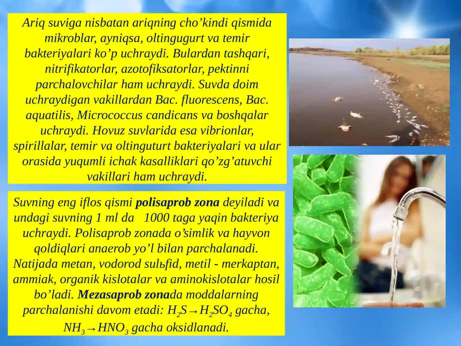 Mikroorganizmlarning tabiatda tarqalishi 4