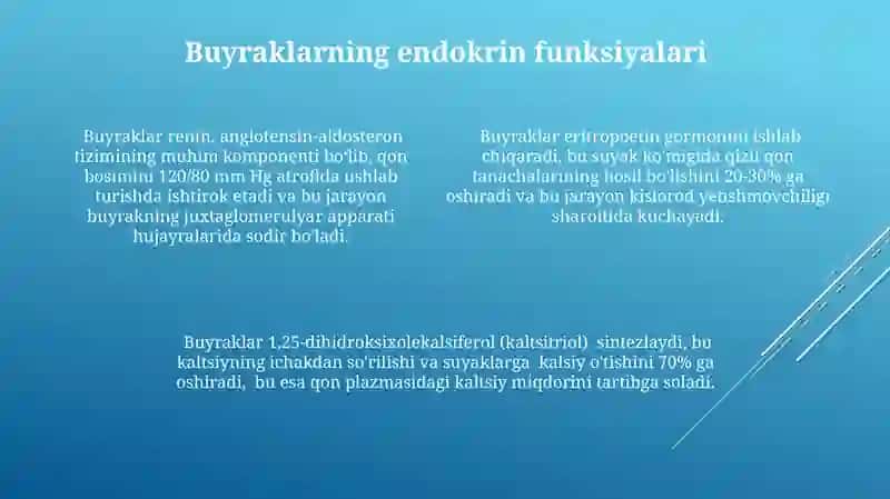 Ayirish sistemasi fiziologiyasi 4