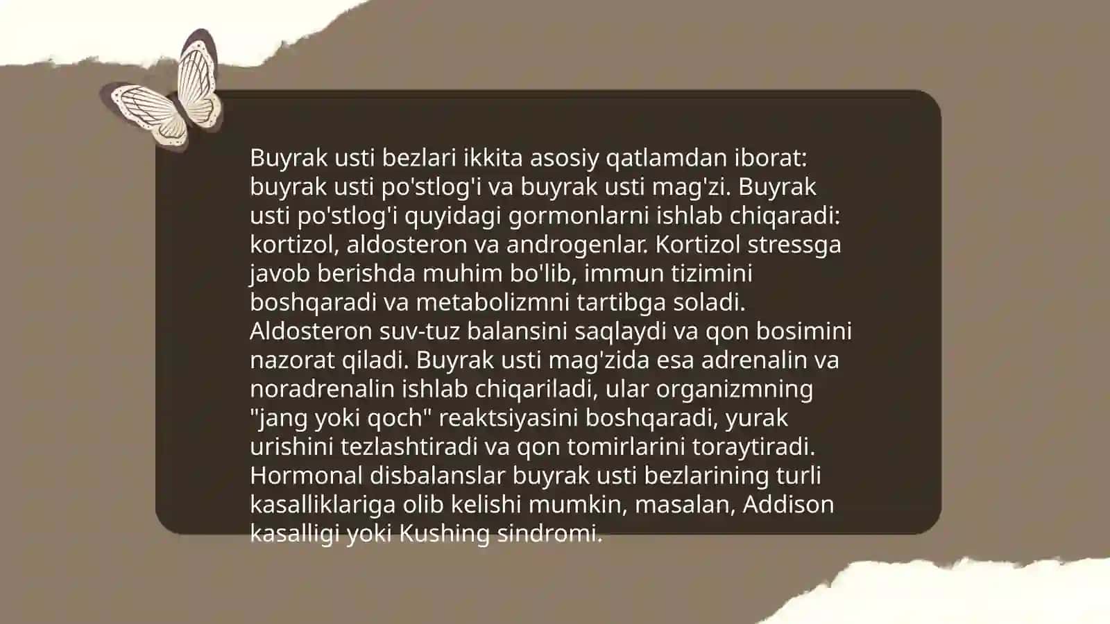 Buyrak usti bezining anatomiyasi 4