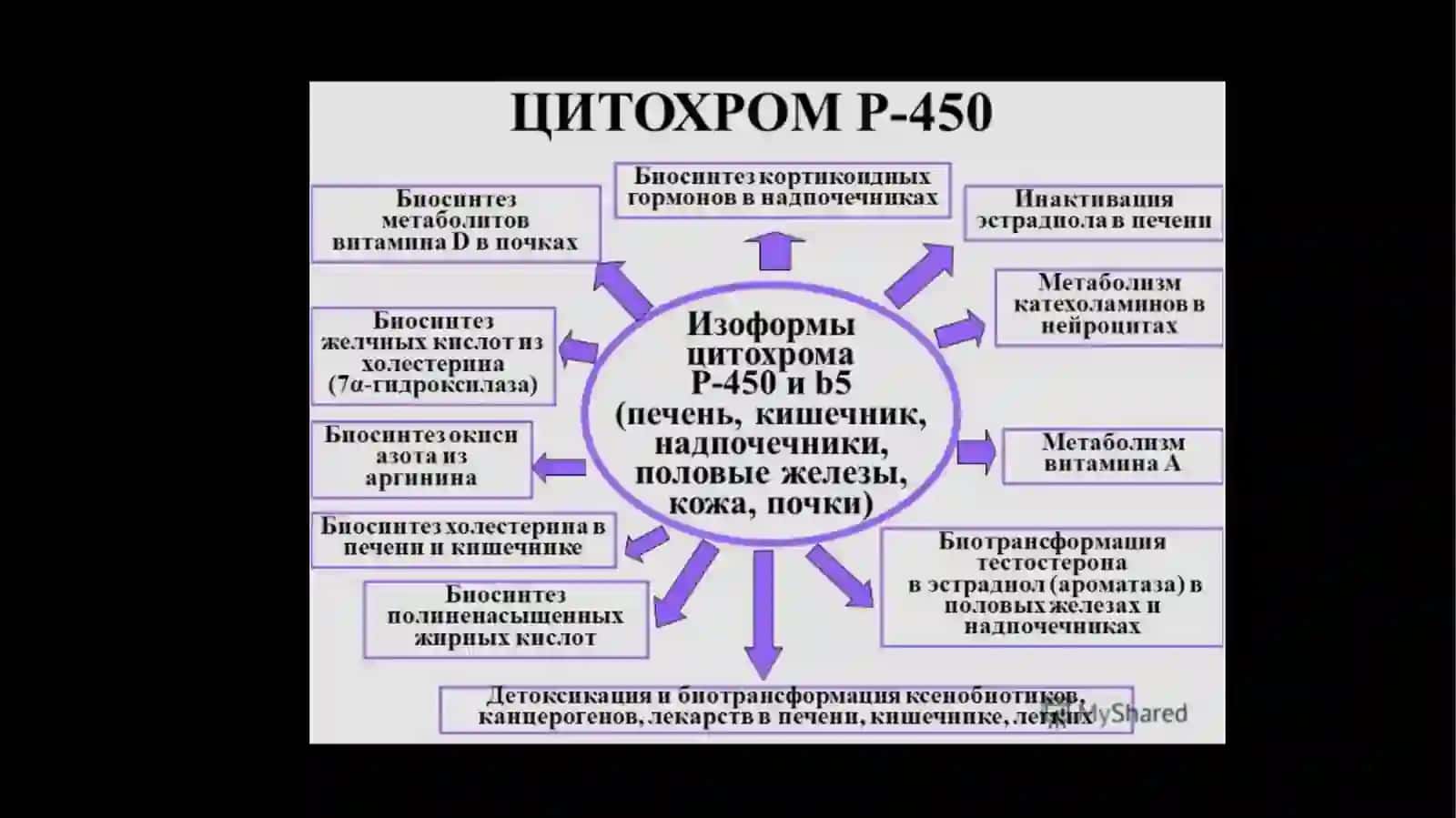 Sitoxrom P450 induktorlari va ingibitorlari klinikada qo’llanilishi. Sitoxrom P450 genipolimorfizmi. 4