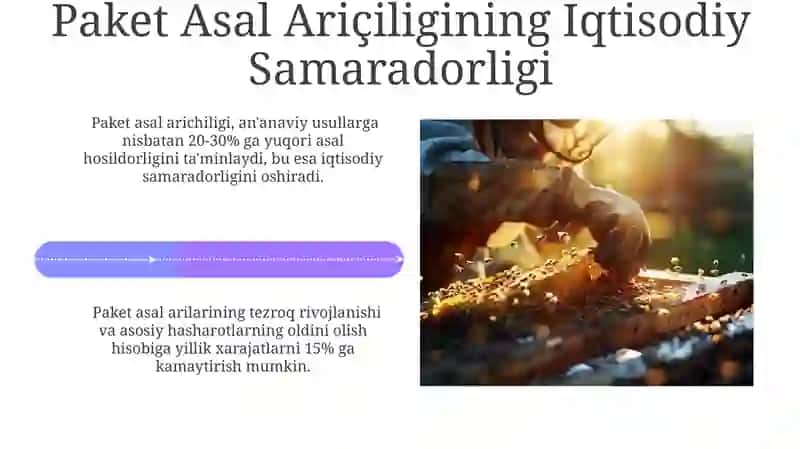 Paket Asalarichilik va uning Texnologiyasi 4