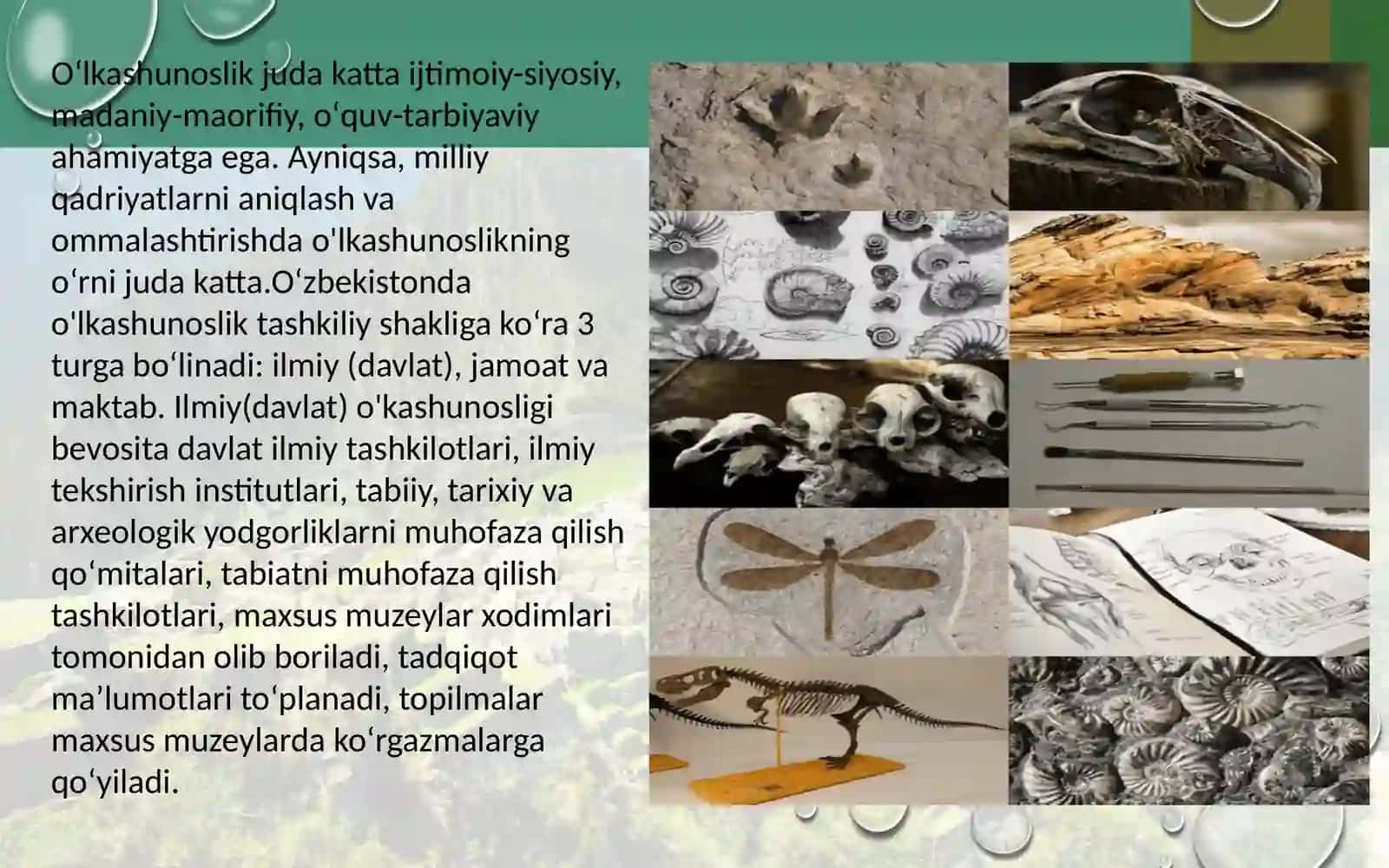 Osiyo xalqlari etnologiyasi 4