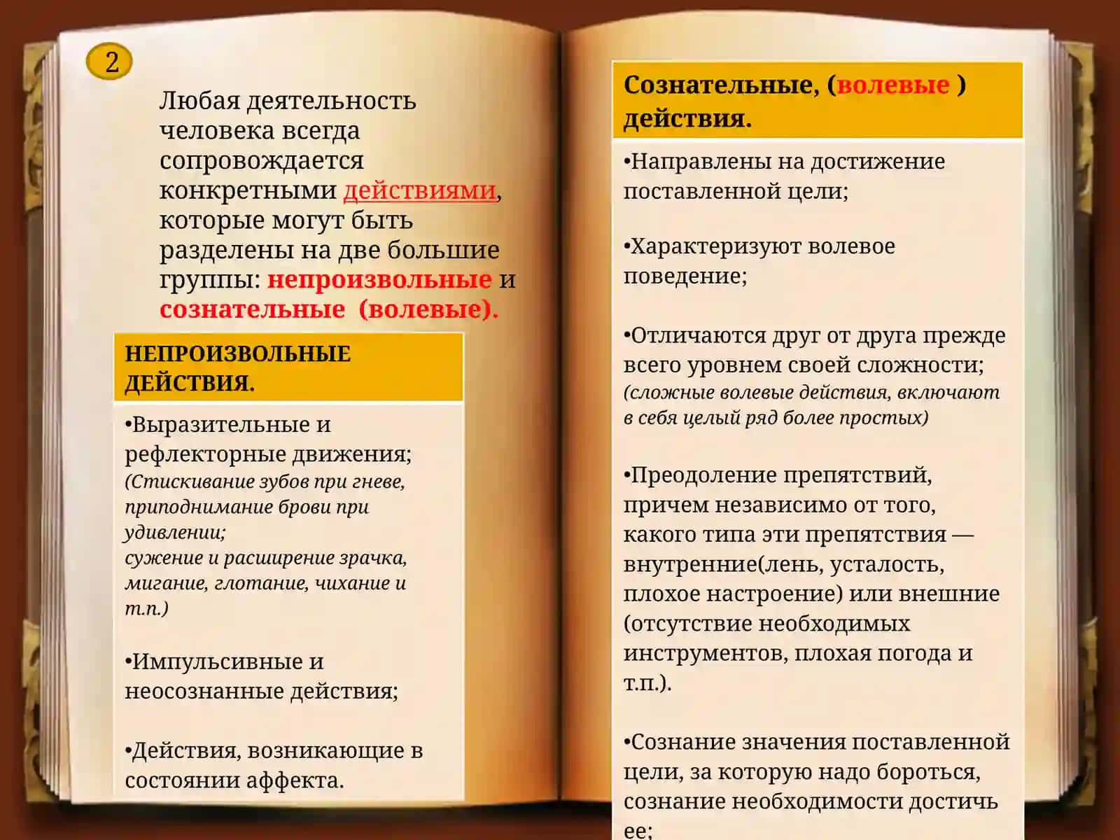 ВОЛЯ И ВОЛЕВЫЕ ПРОЦЕССЫ 4