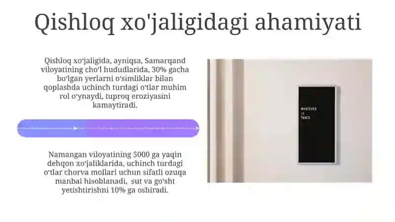 O'tlarning Uchinchi Turi: Tarqalishi va Ekologiyasi 4