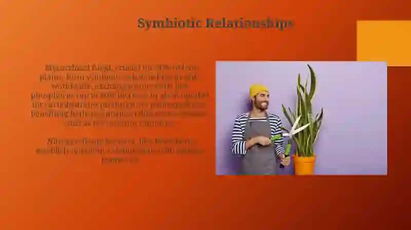 Human Dependence on Plants 4