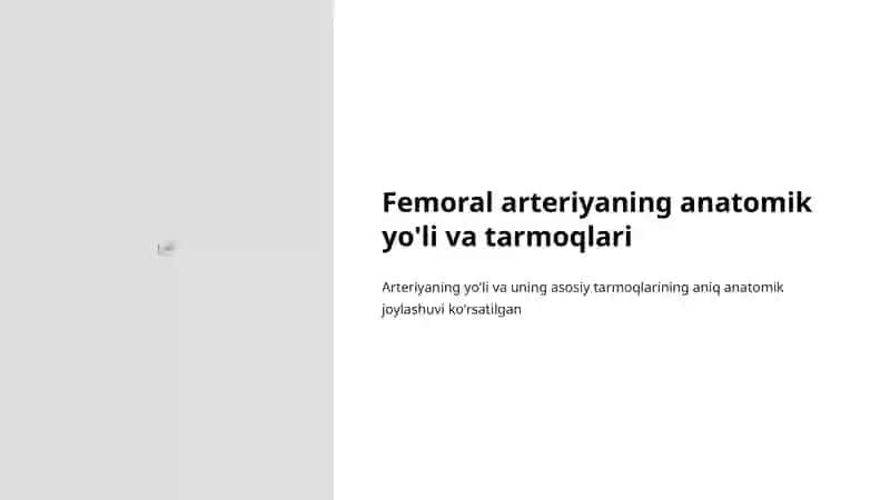 Oyoq arteriyalari: Femoral va Popliteal arteriyalar 4
