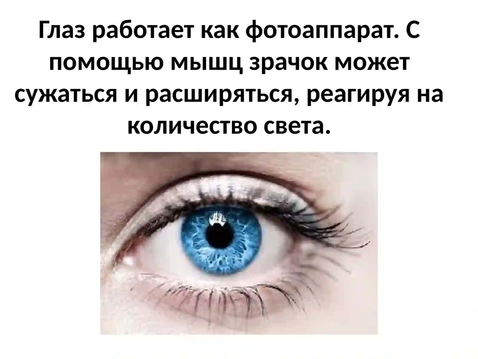 Глаз работает как фотоаппарат 4