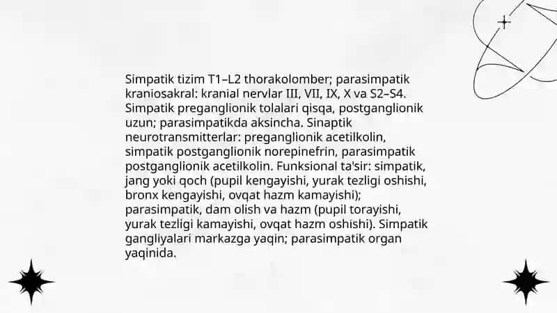 Vegetativ nerv tizimi haqida umumiy ma’lumotlar. Simpatik va parasimpatik nerv tizimining funksional anatomiyasi 4