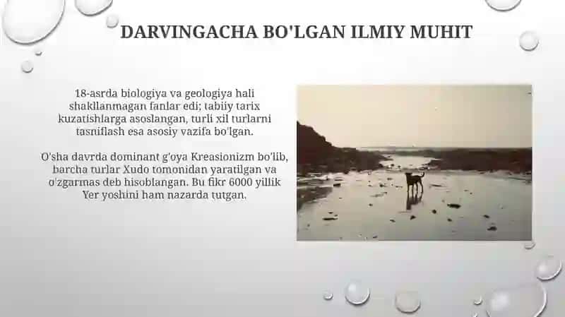 Charliz Darvin hayoti va Bigl kemasidagi sayohati 4