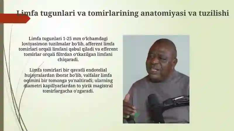 Hazim nayining limfoid tuzilmalari 4