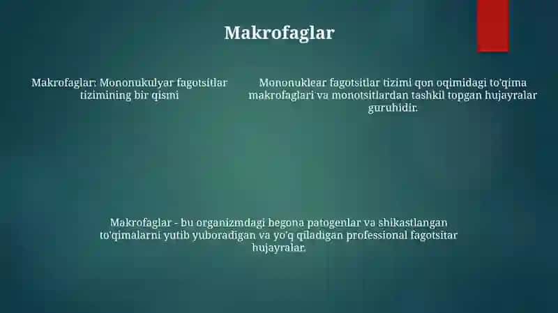 Mononuklear-Fagotsitlar Tizimi 4