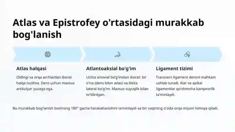 Atlas va Epistrofey Anatomiya Xususiyatlari 4