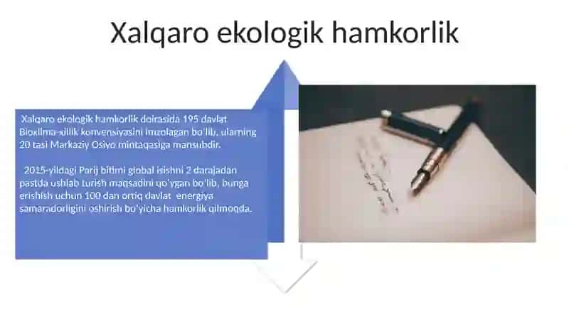 Ekologik huquqning global muammolari 4