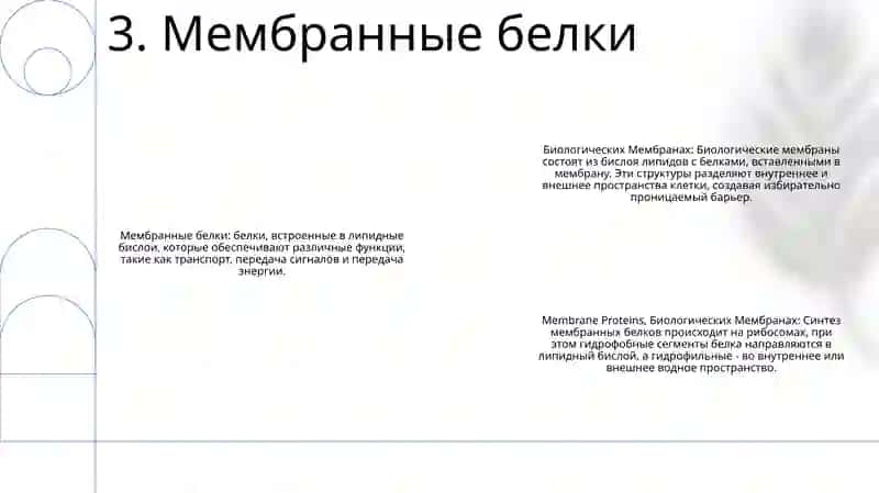 Биологических Мембранах 4