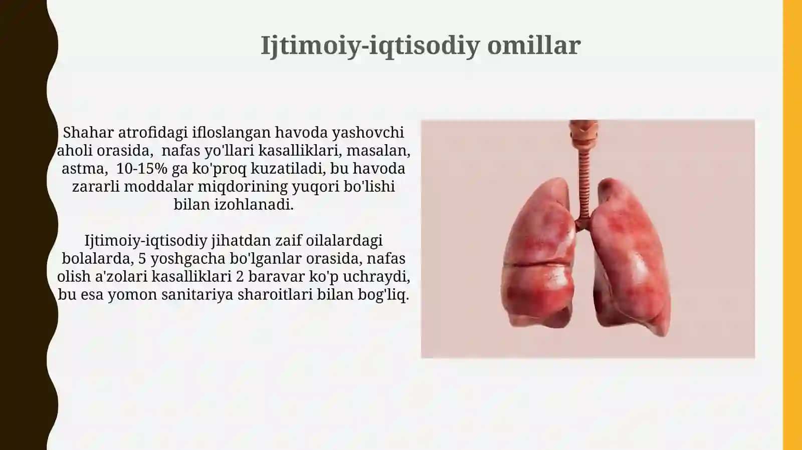 Nafas a'zolarining rivojlanishiga tashqi biologik va ijtimoiyomillarta'siri 4
