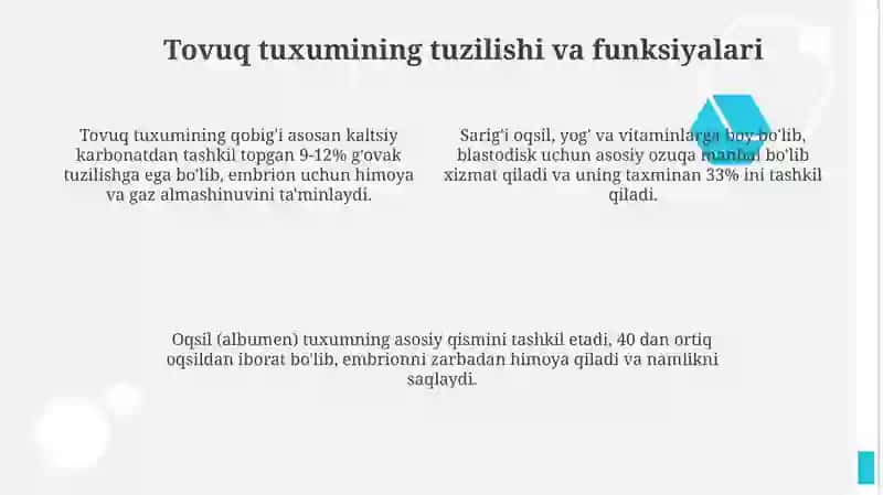 Hayvonlarda jinsiy hujayralarning tuzilishi 4