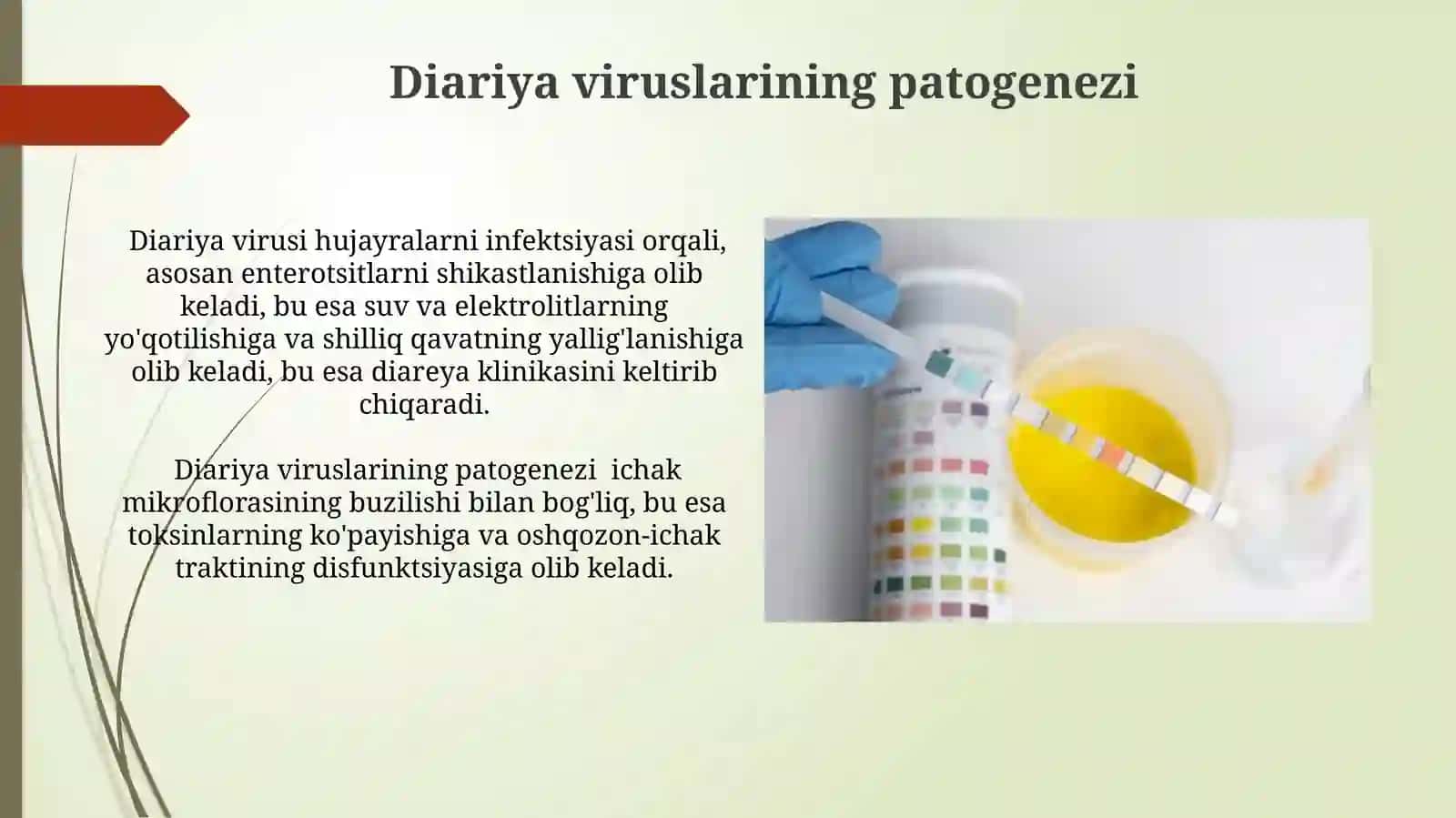 Diareyagen viruslar, klassifikasiyasi, patogenezi, laboratoriya tashhisi 4