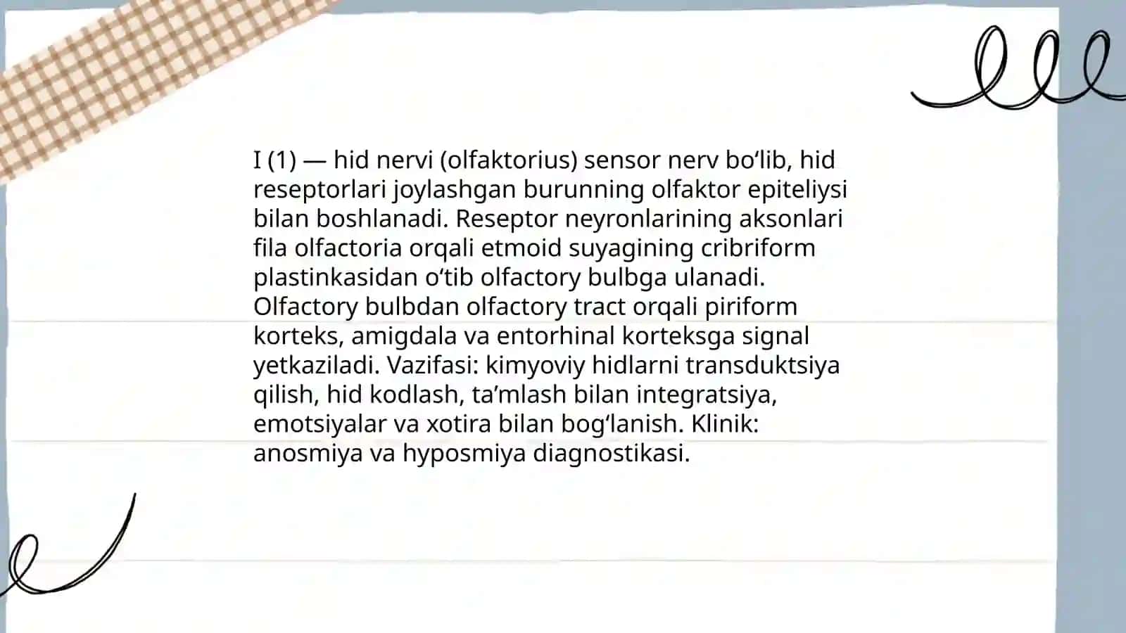 Oliy nervlar 4