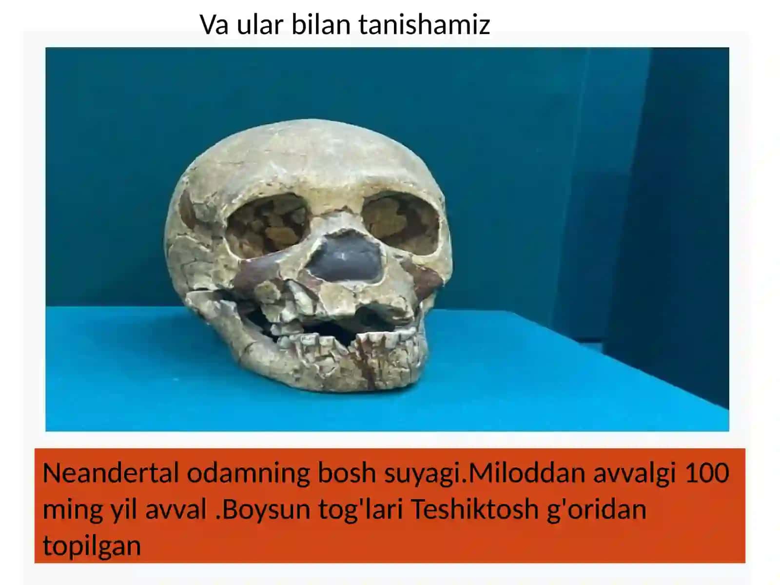 O'zbekiston tarixi davlat muzeyiga sayohat 4