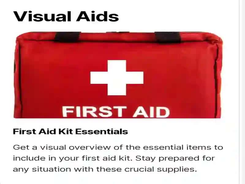 A first aid manual. Describe and provide visual  aids. 4
