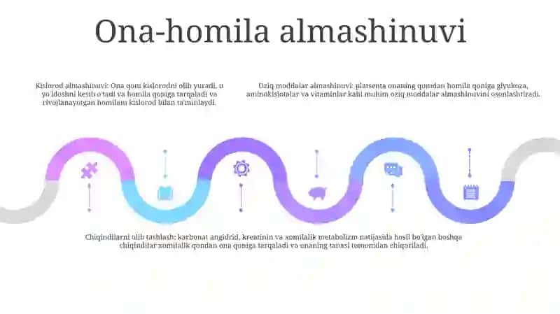 Homilada Qon Aylanishi 4