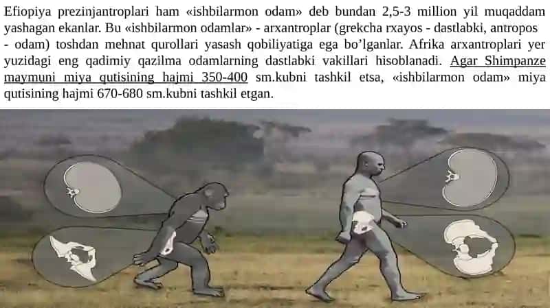Paleontropologik va etnografik ma’lumotlar 4