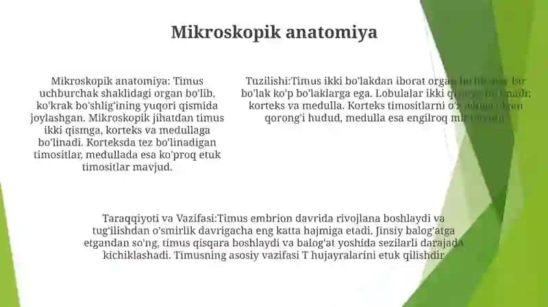 Timus Tuzilishi, Taraqqiyoti Va Vazifasi 4
