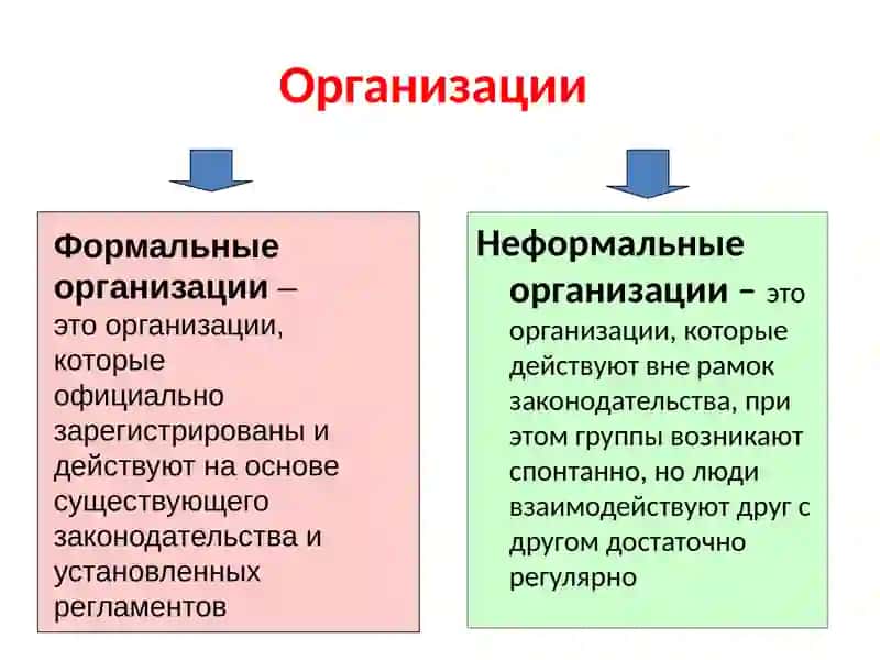 Медицинская организация с позиций организационной теории: чем мы на самом деле управляем 4