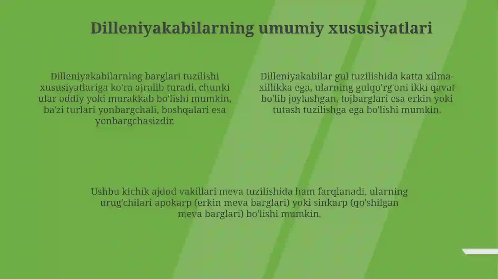 Dilleniyakabilar kichik ajdodining ta'rifi 4