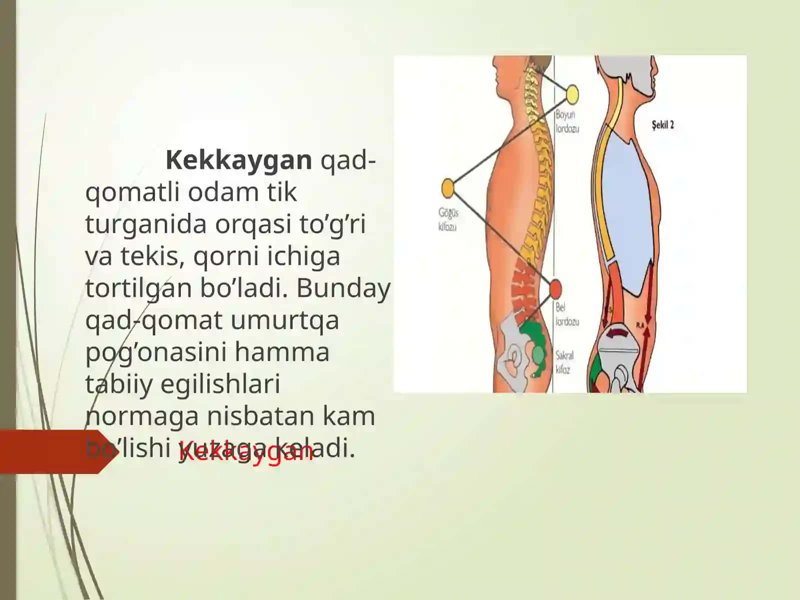 Bolalar qomatinibuzilishi niprofilaktikasi 4