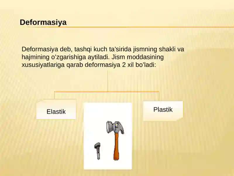 Biomexanika 4