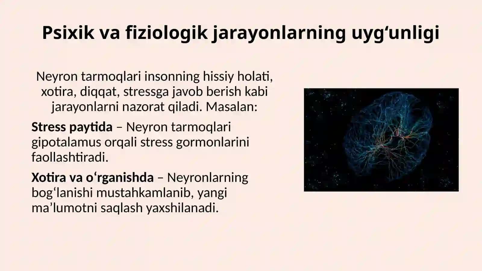Neyrontarmoqlari 4