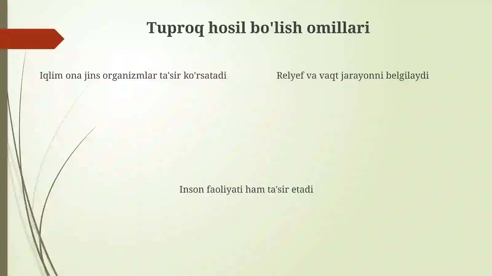 Tuproqlarning paydo bo'lishida moddalar yo'qolishi va to'planishi 4
