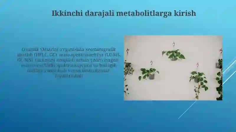 O'simliklarning kelib chiqishi ikkilamchi bo'lgan moddalar 4