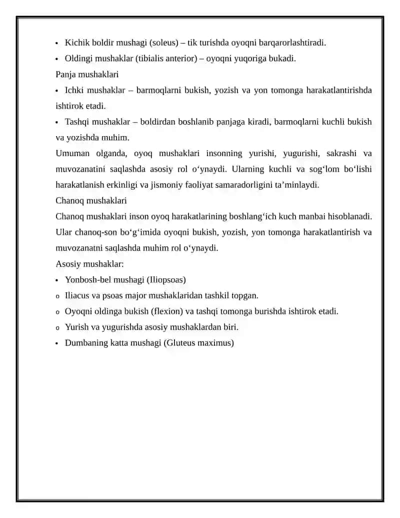Oyoq mushaklari tuzilishi joylashuvi vazifalari 4