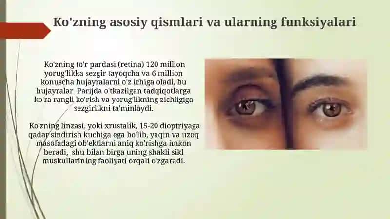 Koʻz optik sistema. Koʻzning spektral sezgirligi 4