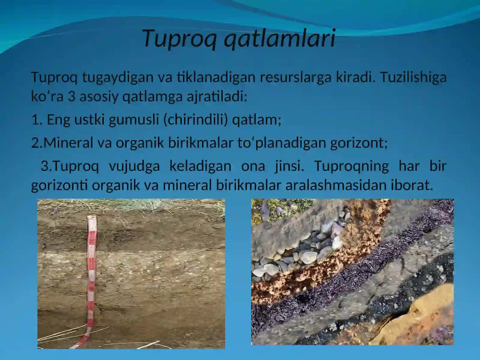 TUPROQNIIFLOSLANTIRUVCHIMANBALAR. TUPROQ MUHOFAZASI 4
