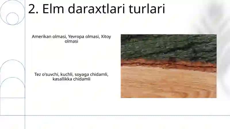 Olmoshning xususiyatlari va turlari 4