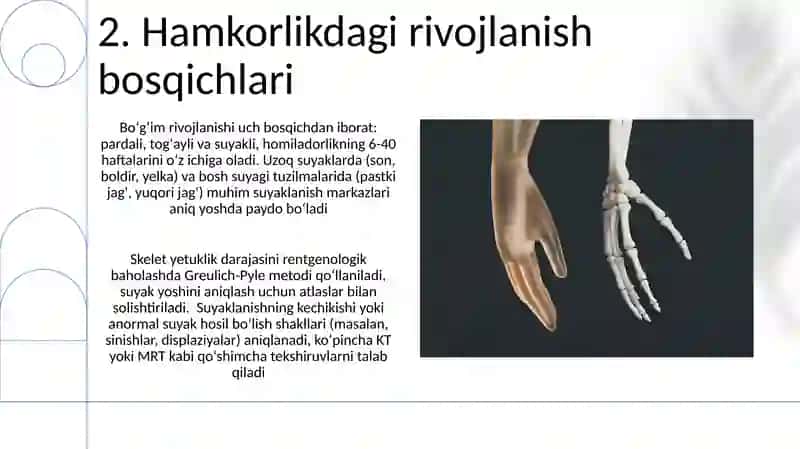 Suyak va boʻgʻimlar rivojlanishini rentgen nurlari yordamida oʻrganish 4