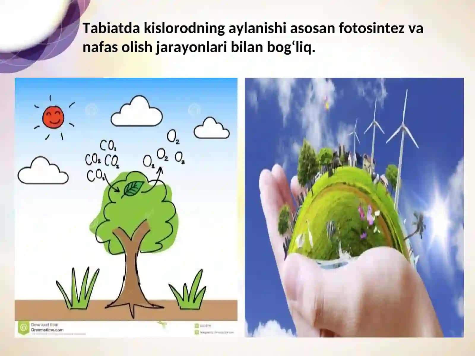 Kislorod guruhchasi elementlari 4