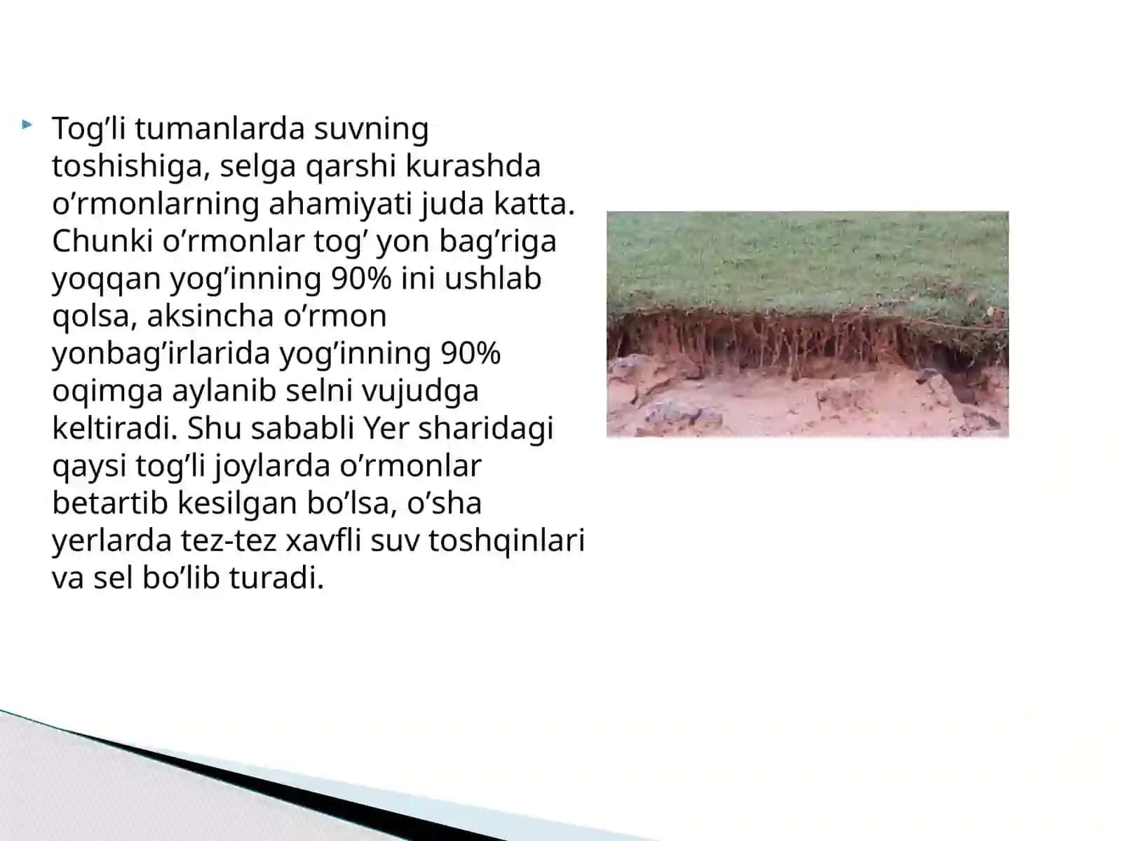OʼSIMLIKLАR QOPLАMINI MUHOFАZА QILISh VА MUHOFАZА ETILАDIGАN HUDUDLАR 4