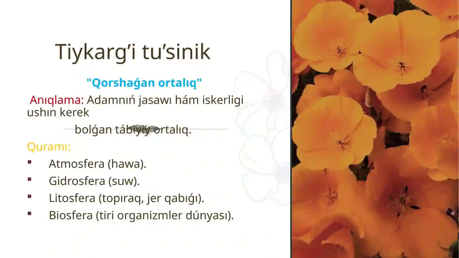 Qorshaǵan ortalıqtı qorǵaw pániniń tiykarǵı túsinikleri hám principleri 4