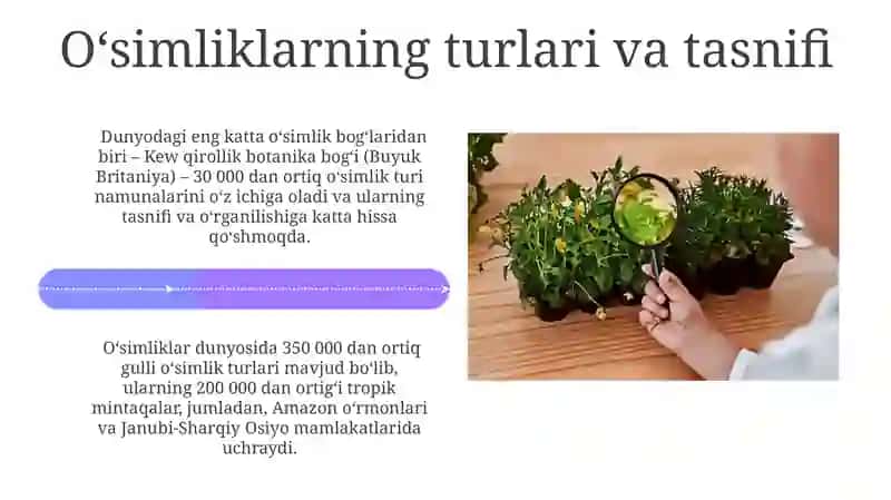 O'simliklar dunyosi va ularni hayot tarzi haqida bilimlarni bilib olish va tahlil qilish 4