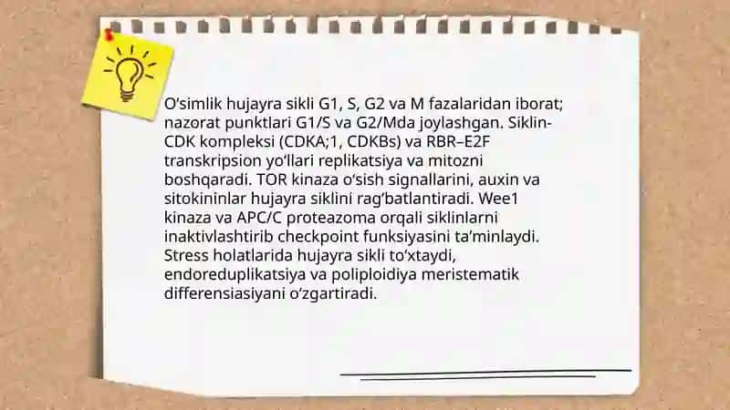 Oʻsimlik hujayralarining ontogenezi va hujayra tuzilmalarining biogenezi 4